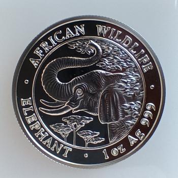 Somalia Elefant 1 Unze Silber 2005 stgl